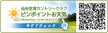 ピンポイント天気