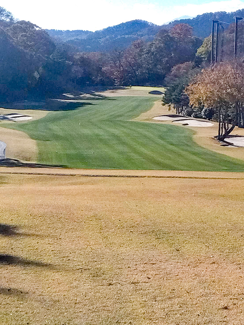 フェアウエイ着色整備01