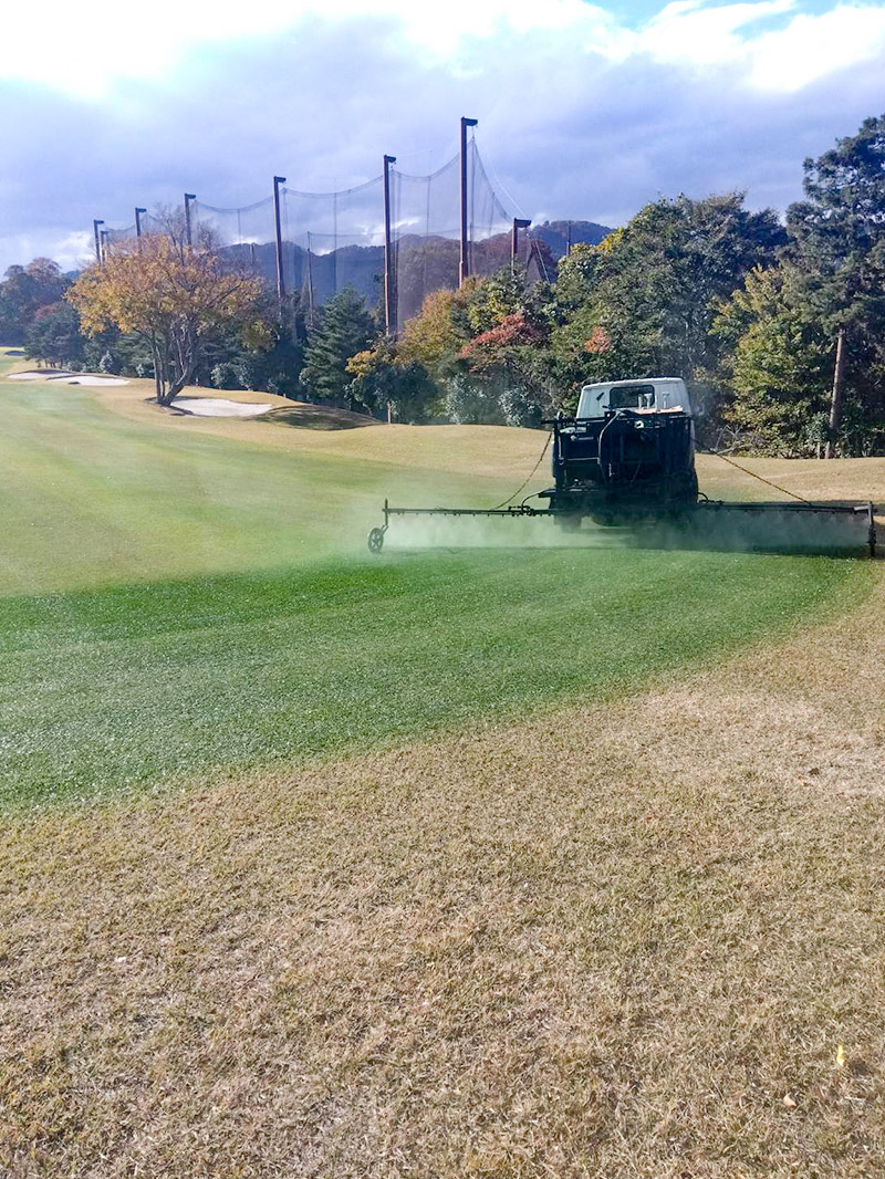 フェアウエイ着色整備02